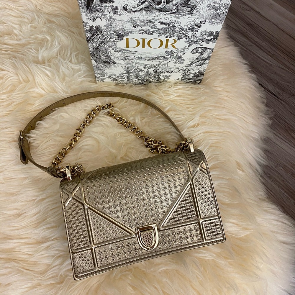 DIORAMA Metallic Champagne Microcannage Calfskin